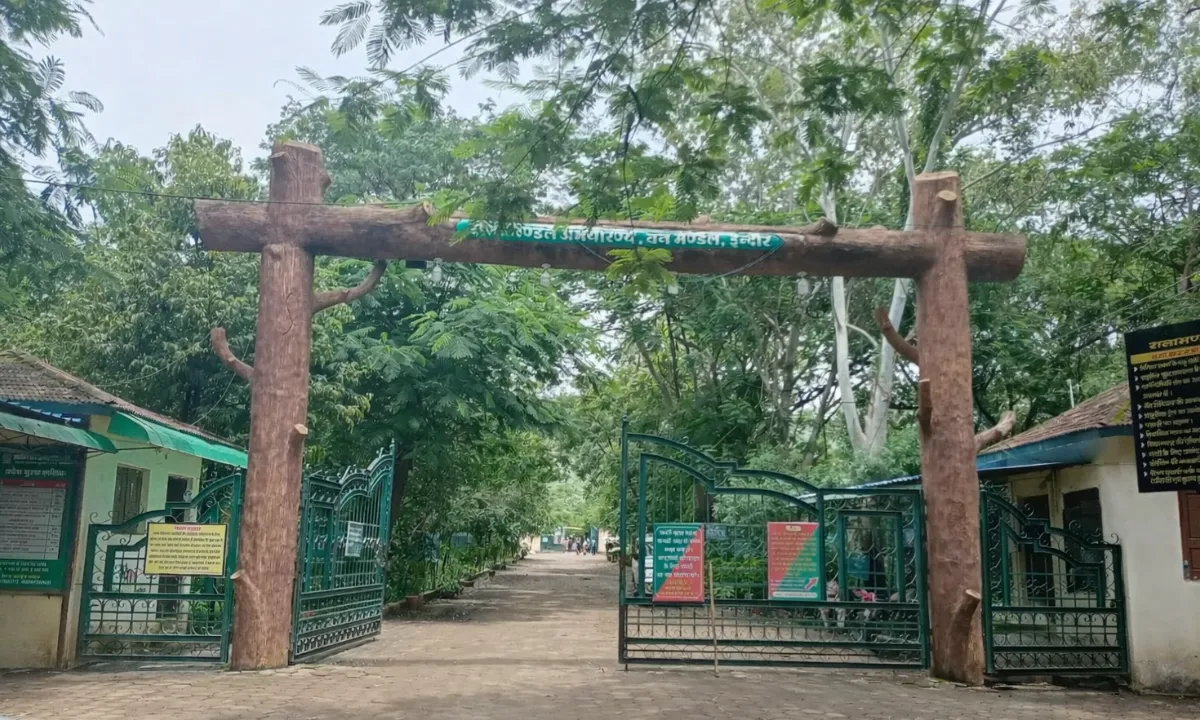 Ralamandal wildlife sanctuary forest and viewpoints near Indore