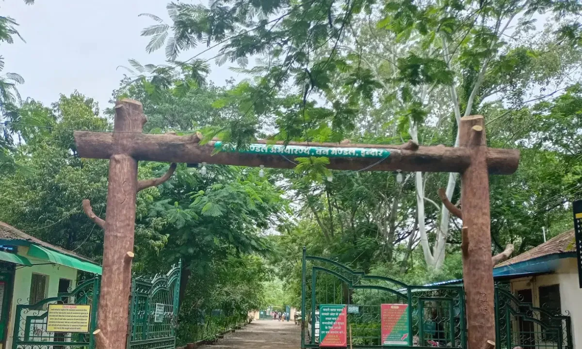 Ralamandal wildlife sanctuary forest area near Indore